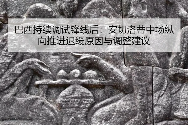 ba-xi-chi-xu-tiao-shi-feng-xian-hou-an-qie-luo-di-zhong-chang-zong-xiang-tui-jin-chi-huan-yuan-yin-yu-tiao-zheng-jian-yi-2-468.jpg