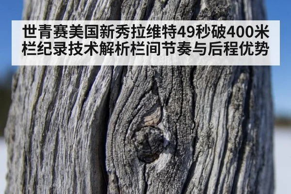 世青赛美国新秀拉维特49秒破400米栏纪录技术解析栏间节奏与后程优势